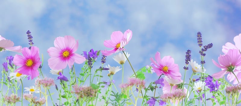 Fantasy Garden Designs