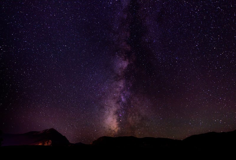 Starry Night Blooms