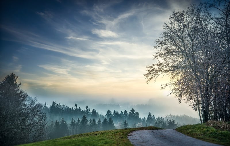 Fantasy Forest Pathway