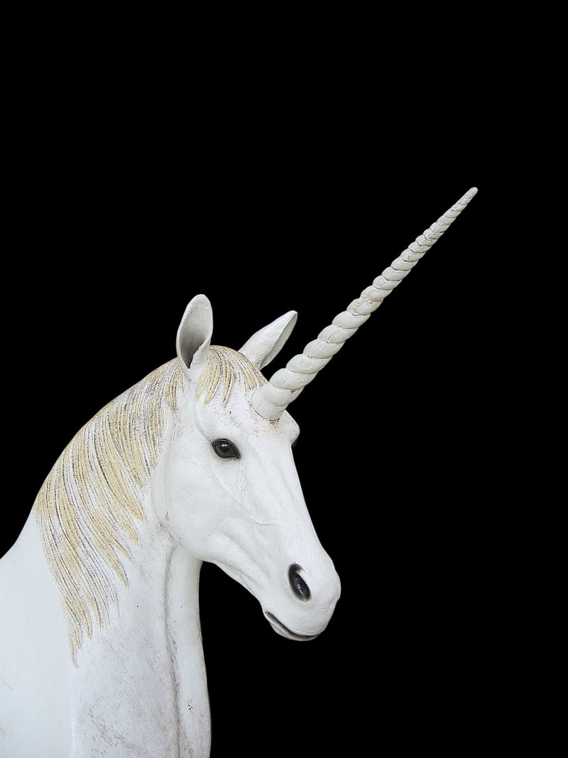 Unicorns in a magical garden